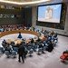 Security Council Meets on Situation in Sudan and South Sudan