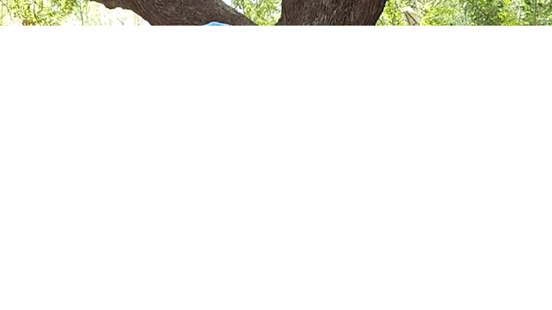 印度拉迪卡•森少校